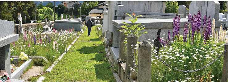 Un espace d'inhumation naturelle au cimetière Saint Roch